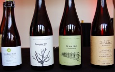 The beautiful Farmhouse Ales of Blackberry Farm Brewery (Walland, Tennessee) were in attendance.